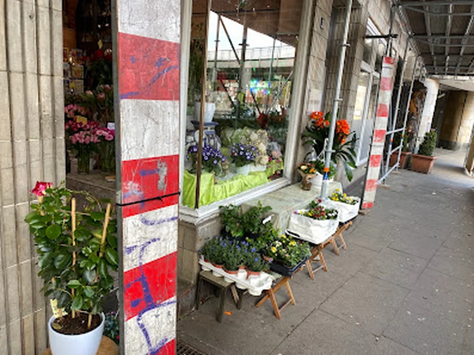Blumenhaus Flower & Feelings