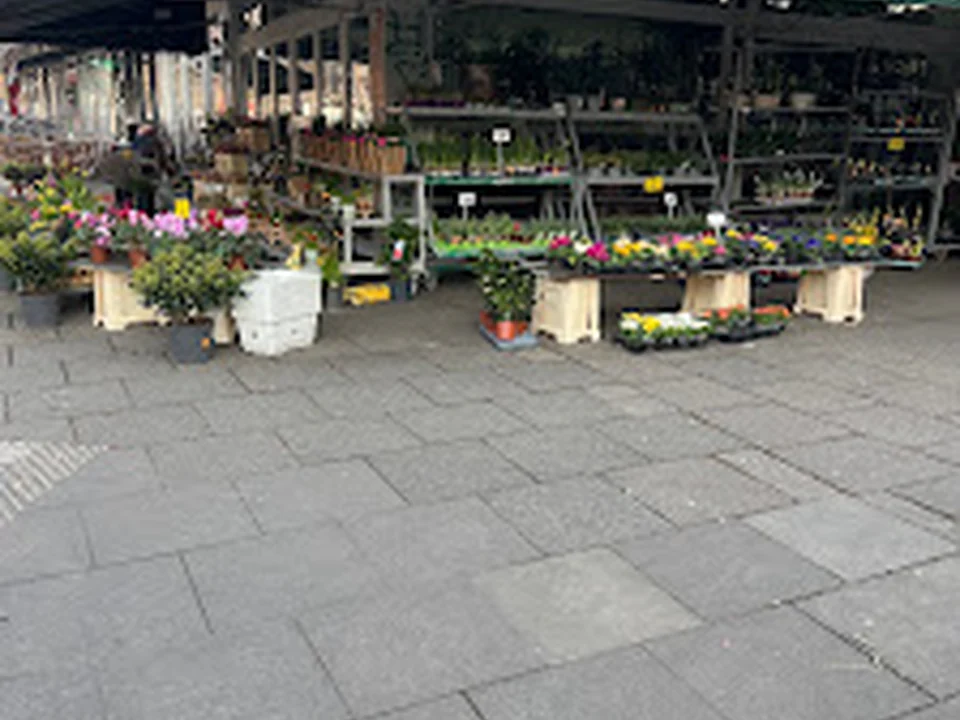 Hamburg Floristik