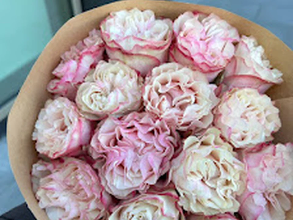 Juliette Flowers