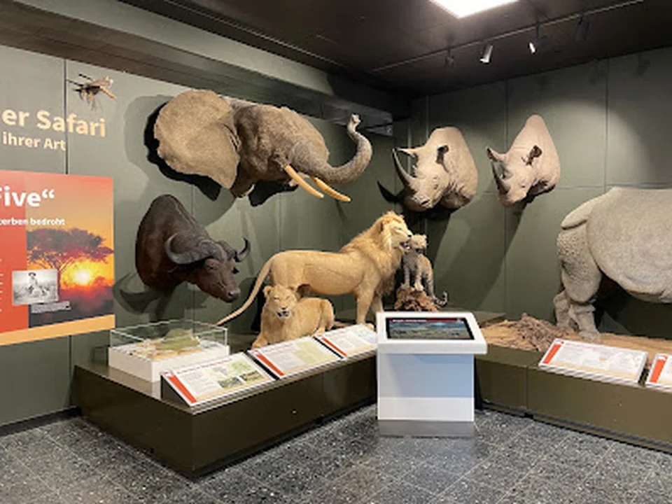 Museum of Nature - Zoology, Hamburg