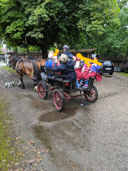 Hamburger Stadtrundfahrt – Die Roten Doppeldecker GmbH